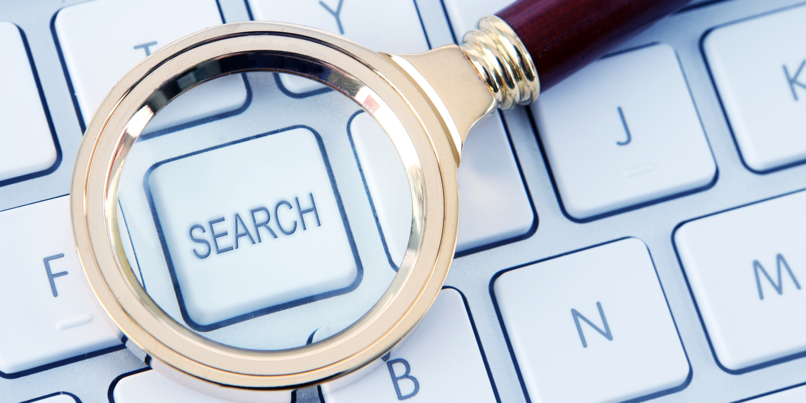 Organic search growth