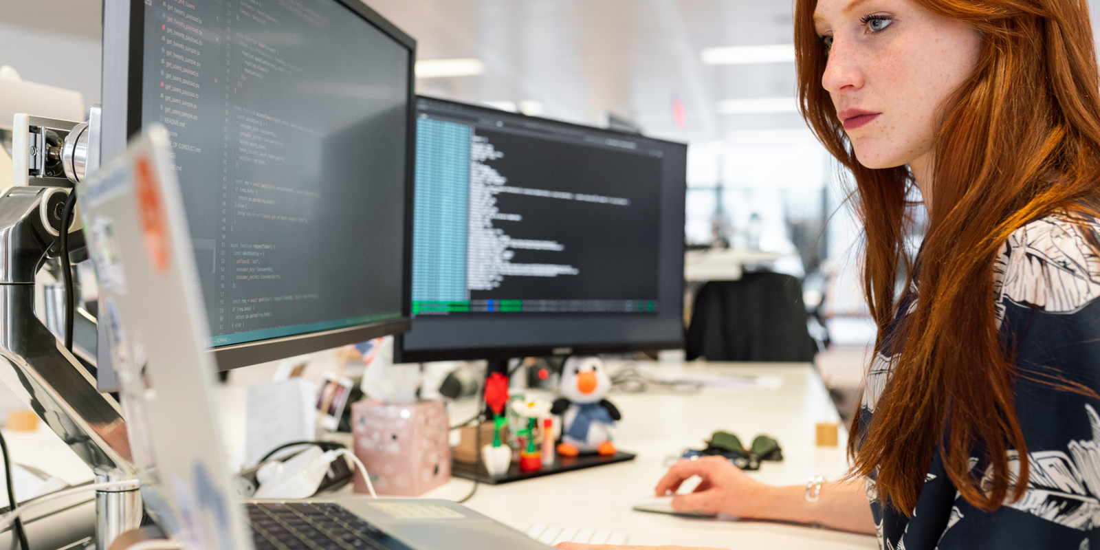 Web Design and Development